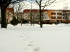 IMG_0837