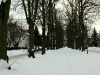 IMG_0866