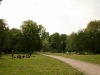 wiese.jpg
