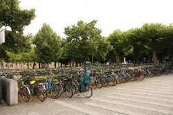Ein Fahrradparkplatz in Lund