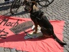 nazis-blockieren-grosser-antinazihund_marco-wagner