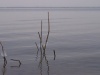 218_5095