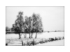Fotowettbewerb - Winter