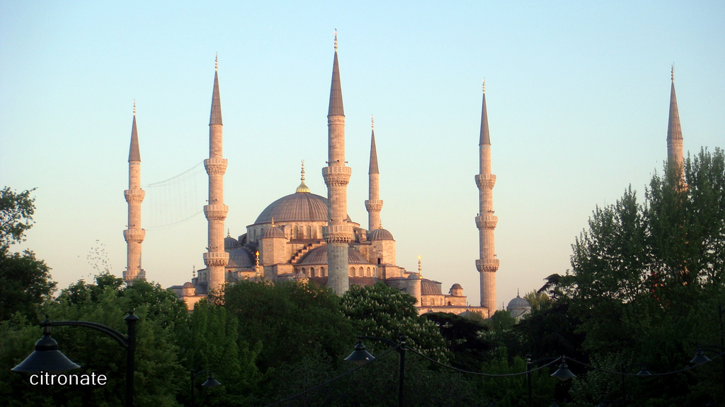Greifswalder Studenten wollen nach Istanbul trampen