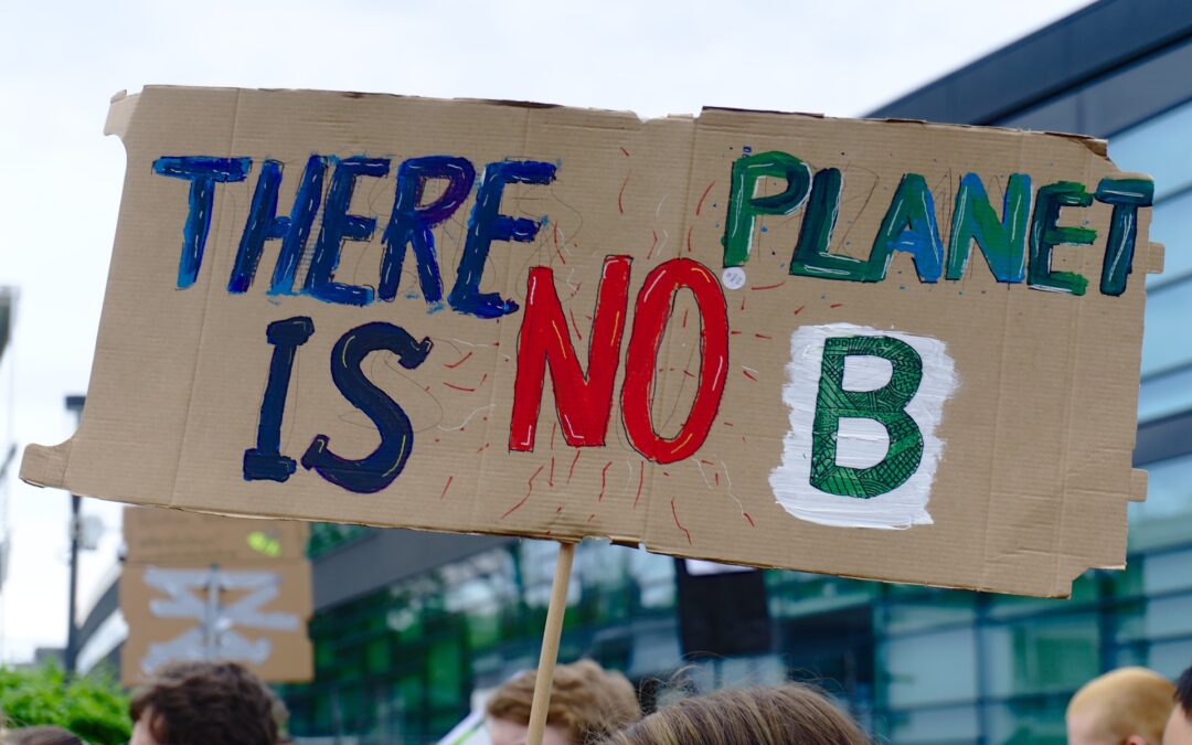 Fridays for Future-Demonstration am 09.06. in Greifswald
