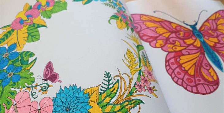 Eine Doppelseite mit zwei ausgemalten Motiven. Links ein Blumenkranz in hellen Farben, grün, gelb, blau, und rosa. Rechts ein Schmetterling mit blauem Körper und pink und orangenen Flügeln.