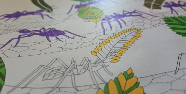 Ausschnitt eines angefangenen Ausmalmotives: Ameisen tragen Blätter über dünne Äste. Einige Ameisen sind lila, die Blätter grün und gelb. Die Motive beinhalten geometrische Formen,
