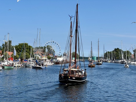 Fischerfest_Gaffelrigg
